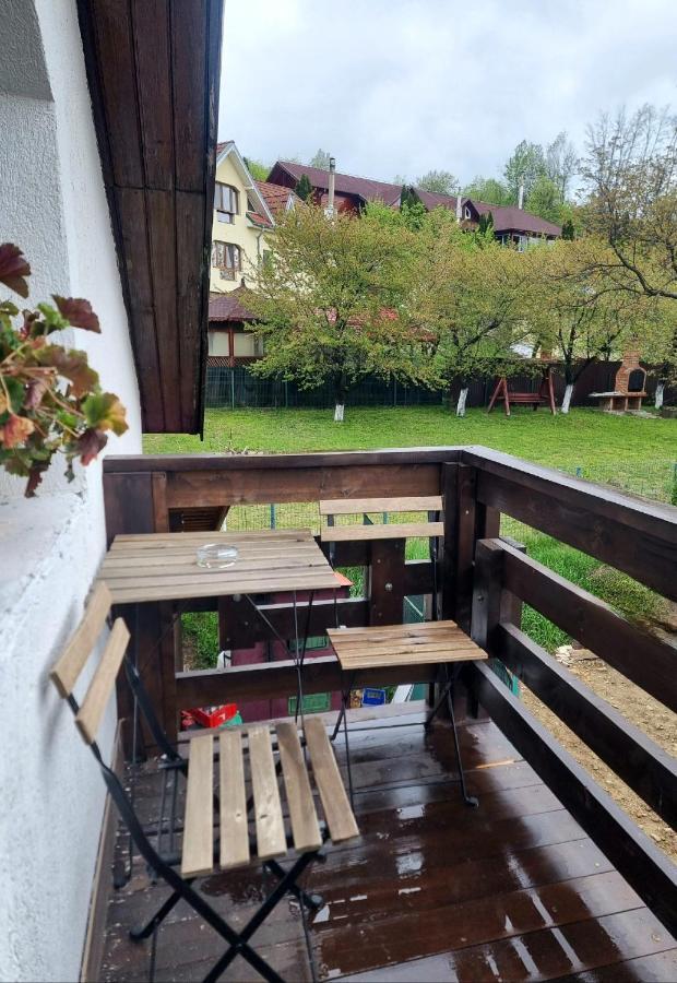 Pensiunea Tobo Baia de Fier Bagian luar foto