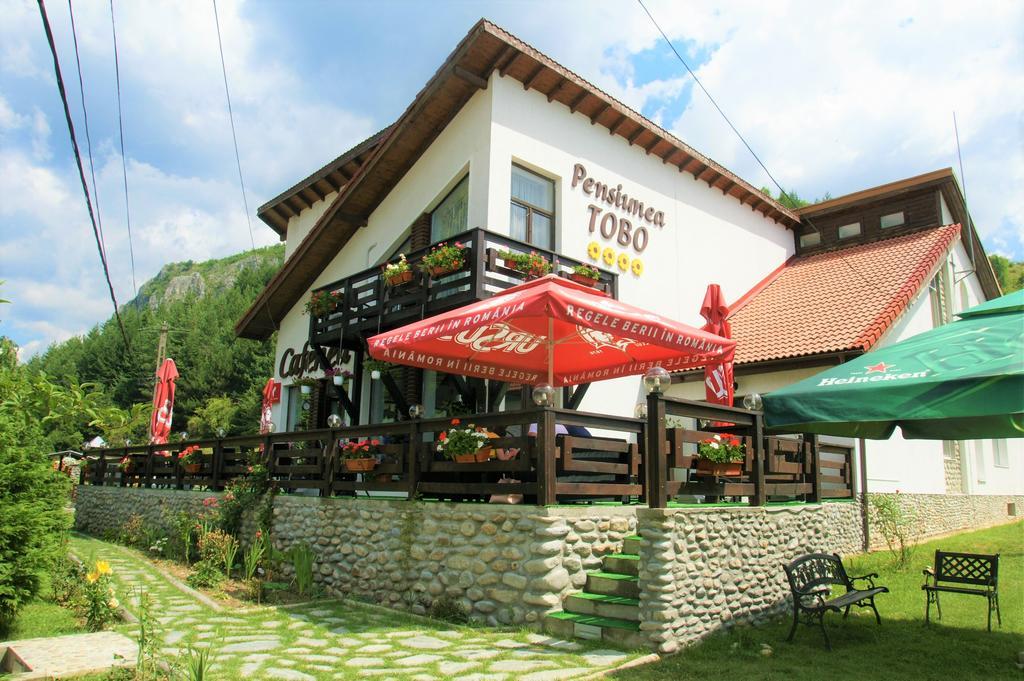 Pensiunea Tobo Baia de Fier Bagian luar foto